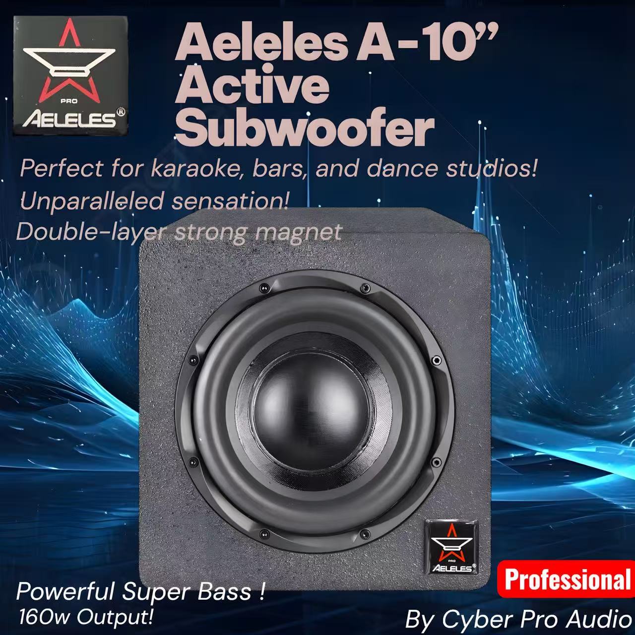 Aeleles A-10 Active Subwoofer 海報